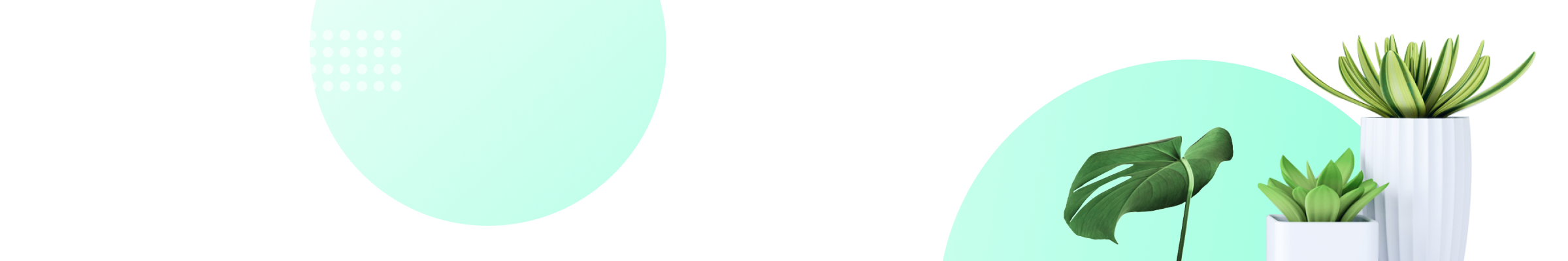 this is a background img