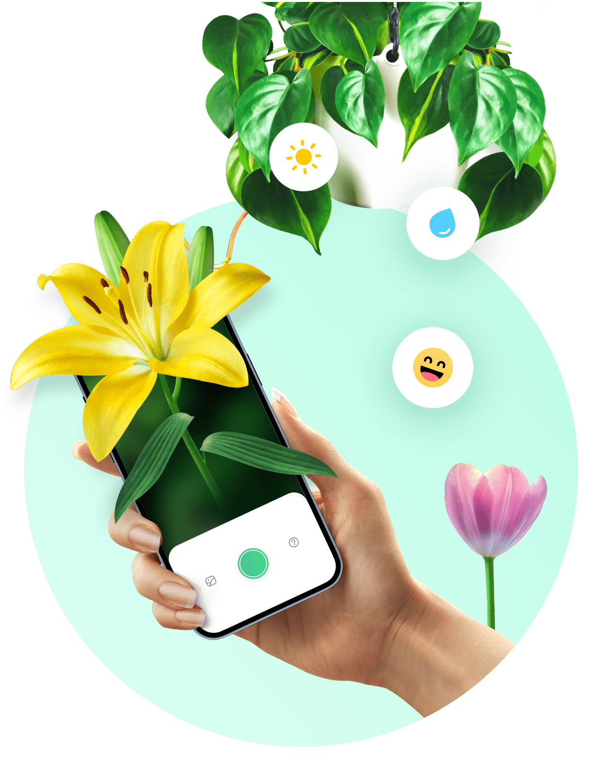 this is a product img